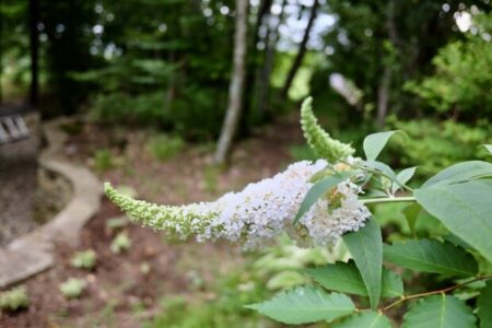 「機能する心」と「考える心」の違いとエゴを静かにする唯一の方法
