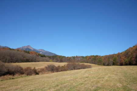 変容のエネルギーが強まる「イーグルスゲート」と11月蠍座新月の星座別注意点