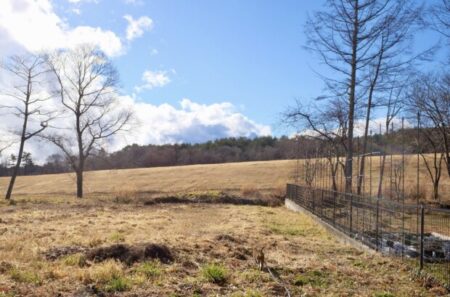 覚醒者ラメッシ・バルセカールが語る「聖なる小説家」とカルマの仕組み