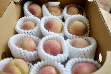 冬桃・クリスマスピーチと覚醒者ラメッシの「神」とは？