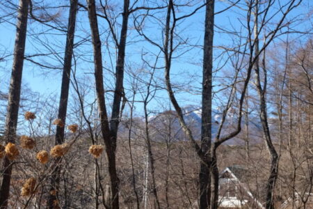 要警戒の島根震度5強と米国「ベネズエラ攻撃」に知る「おとり作戦」