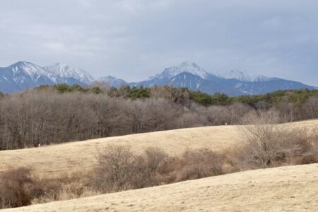 2026年「小正月」を前に「魔法の水」効果、そして「偶然はない」を実感しました〜