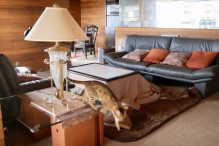 「ハーモニック・コンバージェンス」から39年目の「惑星直列」と「解決すべきサンスカーラ」