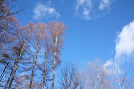 2月2日獅子座満月と165年ぶり「海王星が牡羊座」時代の影響
