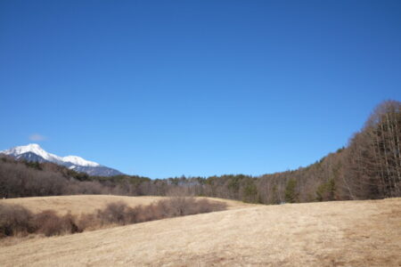 「中道改革連合」推しの分断政策とトランプさんが高市首相を「国賓待遇で検討」の理由