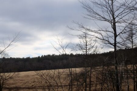 2月14日土星牡羊座入りと17日水瓶座新月（金環日食）の意味と高市首相のホロスコープ
