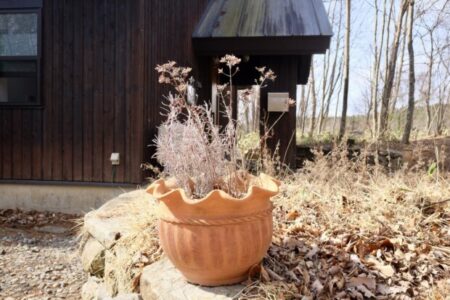 3月3日乙女座満月（皆既月食）に知るAIによる戦争シミュレーションとトランプ米国がイランを叩く理由