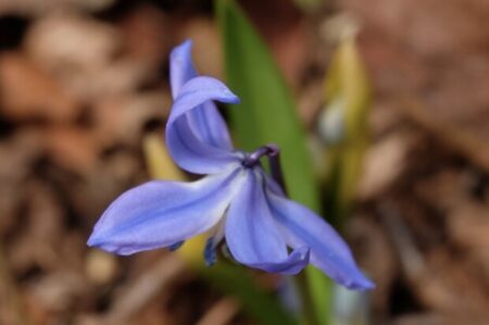 前世「茶人」だったインフルエンサーが伝える日米首脳会談と故中川昭一氏の妻が語った「真実」