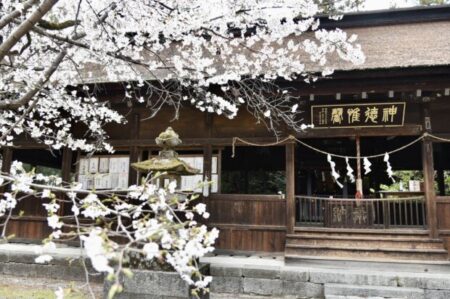 覚醒者が語るストレスフリーになる「最強の方法」と桜満開の大井俣窪八幡神