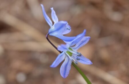 「悟り」の重要ポイントとラメッシ本人が語る「悟りが起きた時」のリアル話