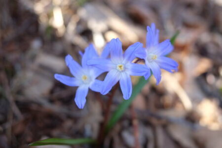 スターマー英首相が訪中直後に日本に来た理由と水面下で繋がるトランプー高市ライン