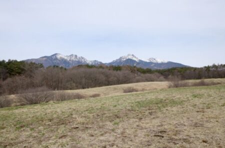 美味しくてリーズナブルな国産ハチミツと髪質が改善したハイビスカス・シャンプー